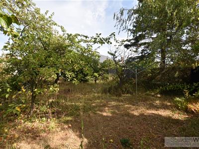 Picture 16